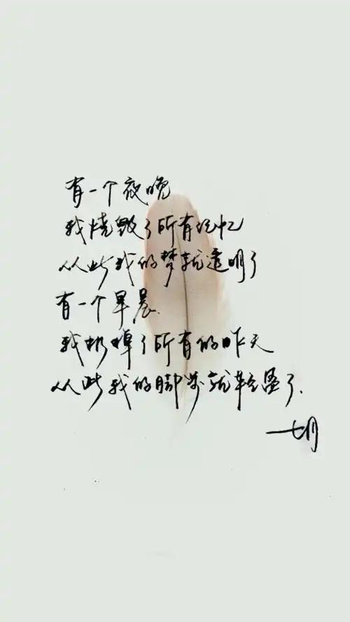 唯美的句子诗意淡雅唯美古风意境句子