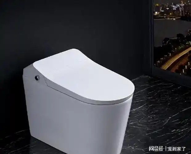 3年换了2个智能马桶,终于知道1000元和上4000元的区别了|卫浴|马桶盖|