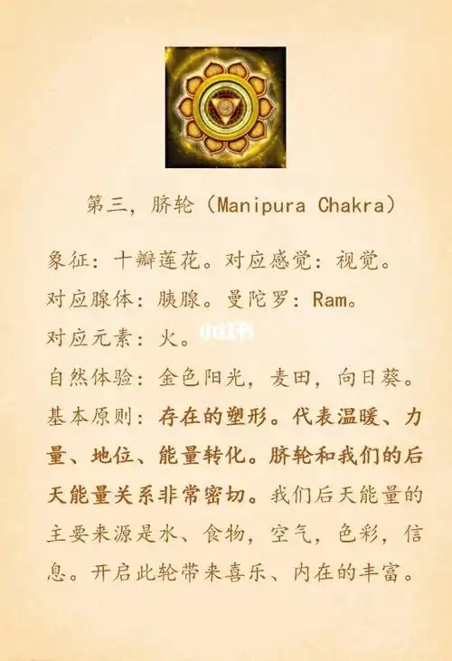 瑜伽的七色脉轮,分别代表了什么_瑜伽_莲花_冥想_运动健身_健身减肥