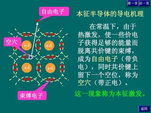 前一页 后一页 后一页 前一页 自由电子 本征半导体的导电机理 在常温