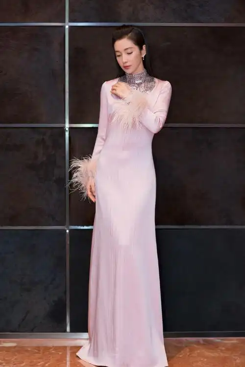 李冰冰 第17届中国电影华表奖