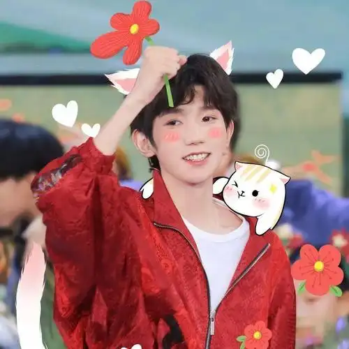 【微信头像】王源