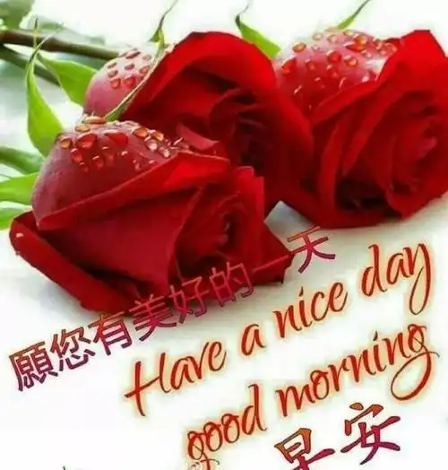 特别漂亮的早上好祝福表情问候图片带字早安祝福问候语句精选