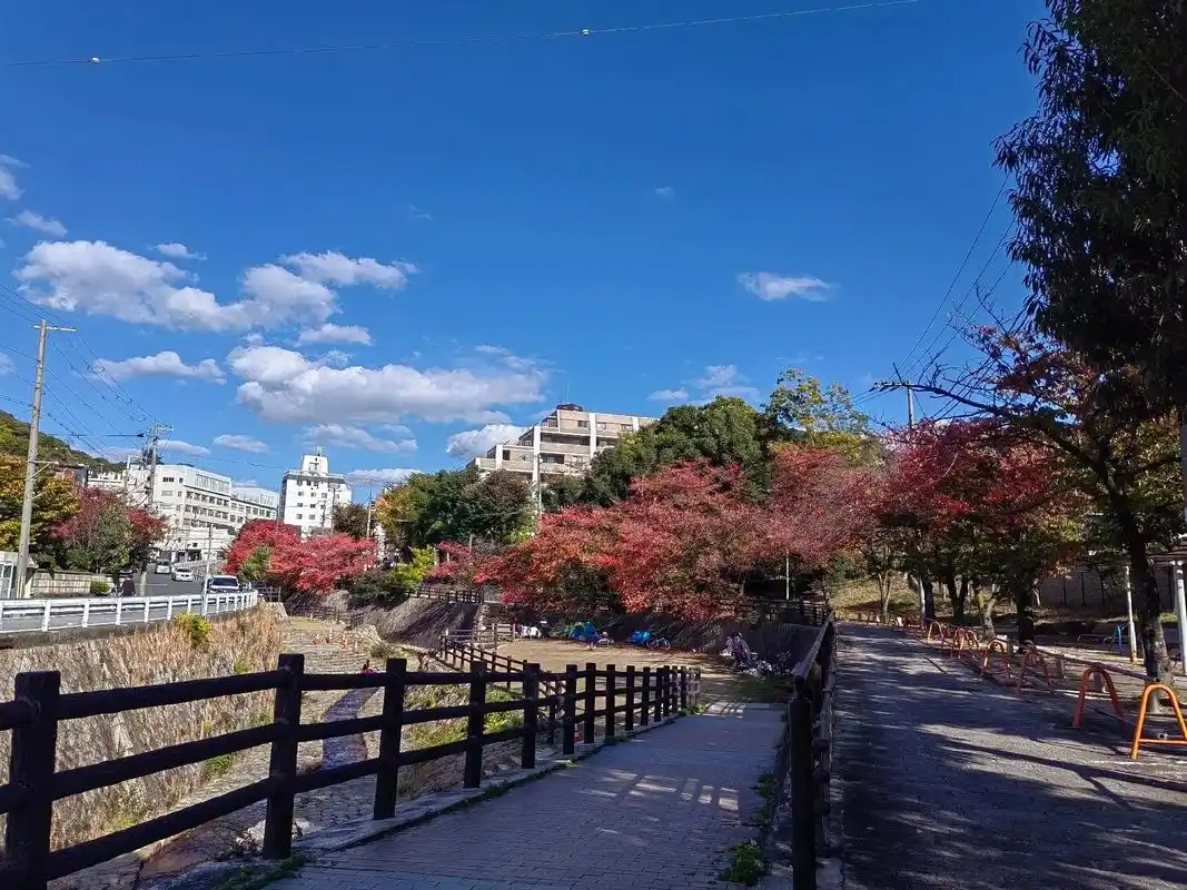 动漫一样的风景.灵感来源于生活,日本的风景真的很美 - 抖音
