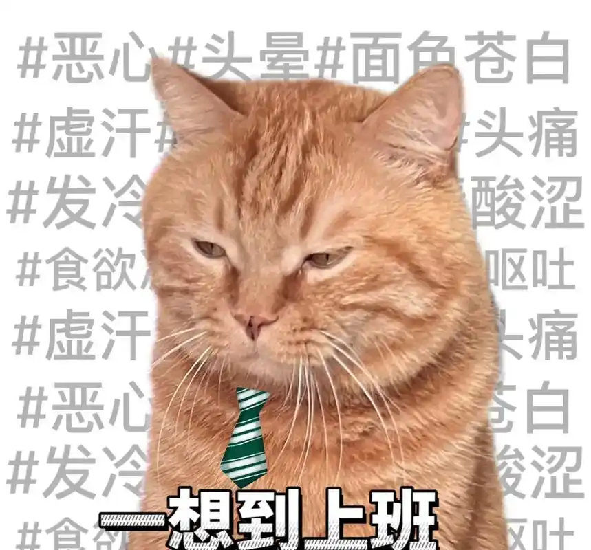 大橘已定#表情包 这班上的躺又躺不平…卷又卷不赢…摆又摆不 - 抖音