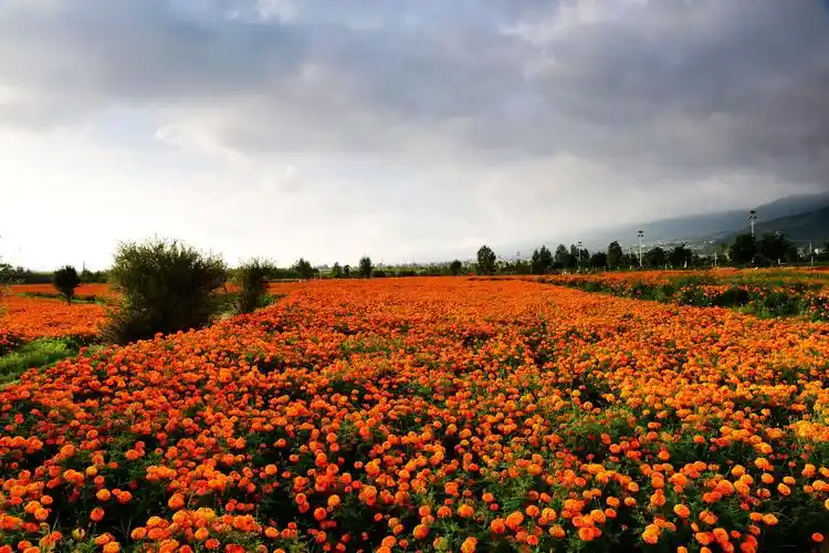 原图欣赏-太平洋摄影部落