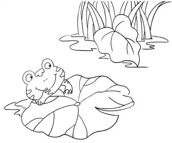 荷叶上的青蛙简笔画睡觉的青蛙简笔画简笔画睡着的小青蛙怎么画青蛙简