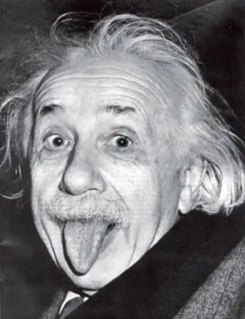 当我把爱因斯坦喂给ai