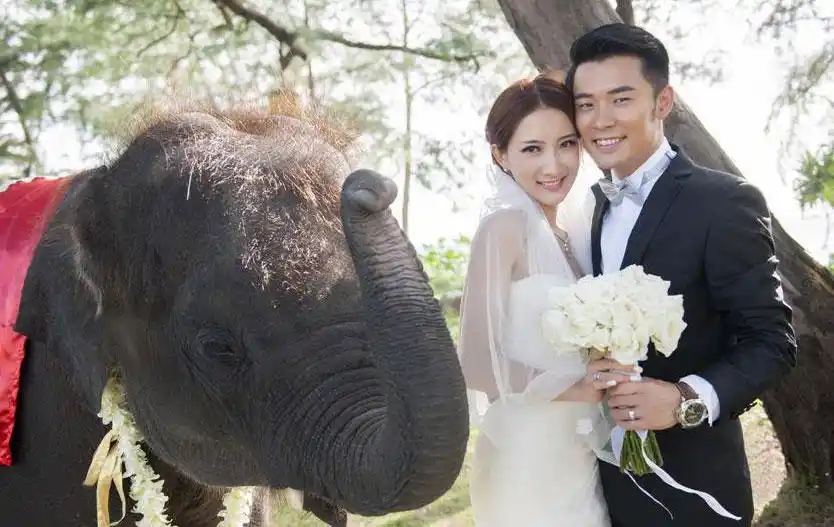 "好男人"陈赫普吉岛大婚 文艺范结婚照全曝光[图]【9】