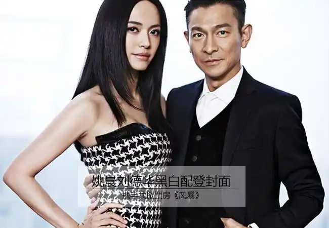 姚晨刘德华黑白配登封面 携手共掀票房《风暴》