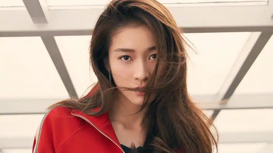 明星风尚张雪迎壁纸