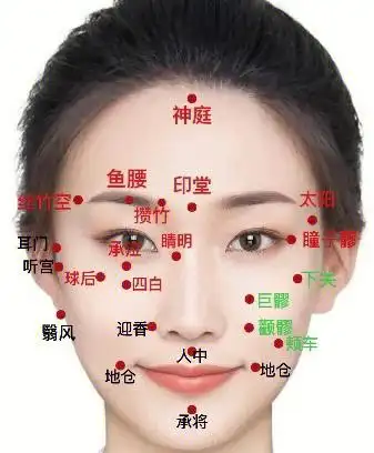 美容院的面部穴位