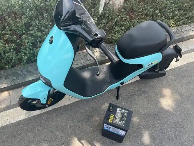 九号电动车锂电池c40c65litec65c90直上上款电动车线类