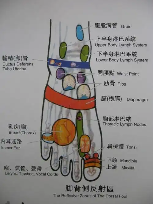 女性乳腺增生的艾灸防治调理法在线收听-喜马拉雅