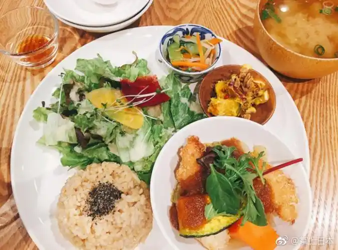 一份午餐,多种营养