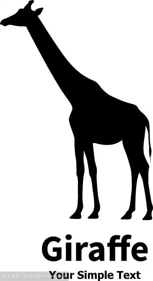长颈鹿的剪影