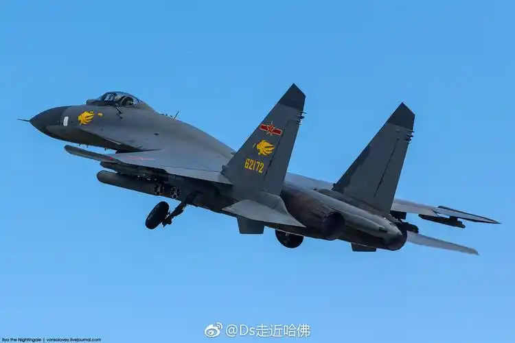 参加"和平使命-2018"联合反恐演习的中国空军歼-11战机美图