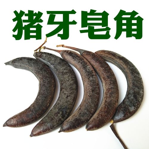 包邮野生猪牙皂角 小皂角 牙皂 猪牙皂 乌犀 一件500克