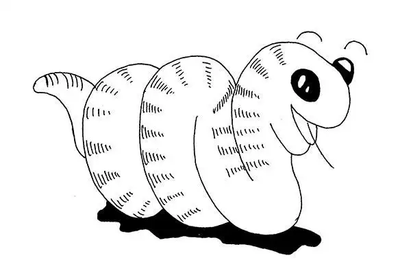 冬天动物冬眠简笔画步骤小蛇冬眠简笔画冬眠的动物卡通简笔画冬天动物