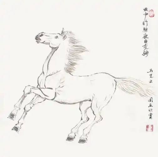 马克云画作——白龙驹