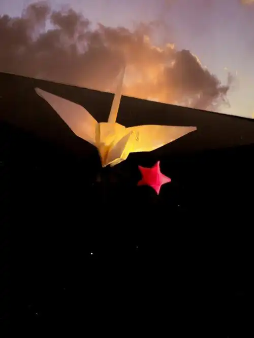 千文# #1002# 千纸鹤.