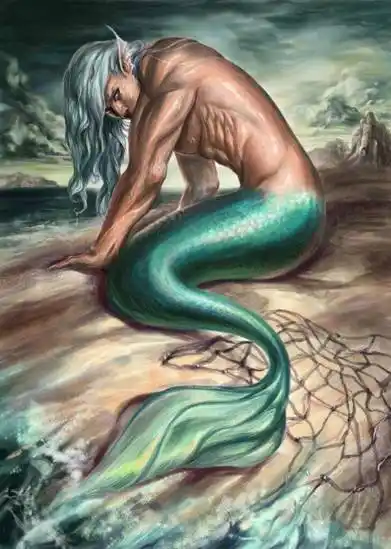 美人鱼还是美男鱼