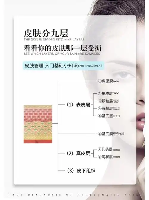 看看你的皮肤哪一层受损 7171 皮肤管理入门基础小知识 99