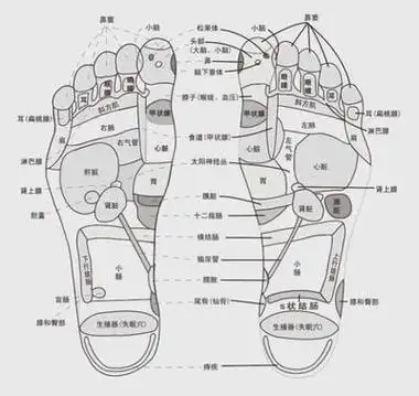 睡前抖抖脚,胜过吃虫草