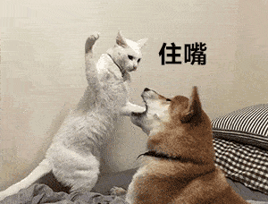 表情| 听说有人打篮球缺人(沙雕表情包)_手机搜狐网