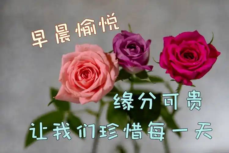 早安祝福美图早上好问候句子