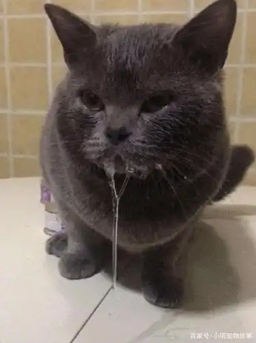 这口水,是真正做到了垂涎三尺呀~到底是什么美味,能够让你馋成这个