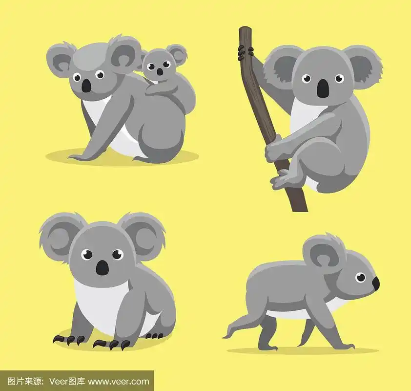可爱的考拉姿态卡通矢量插图