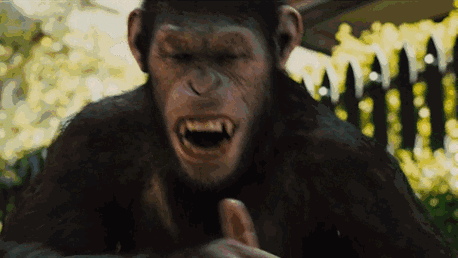 483_272gif 动态图 动图