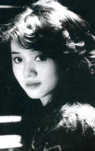 梅艳芳-堆糖,美好生活研究所