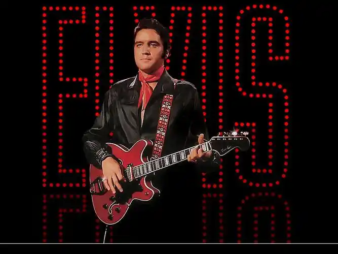 猫王壁纸下载时尚的猫王