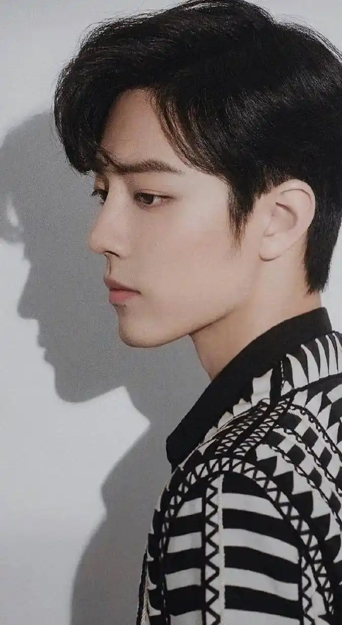 肖战 肖战绝世美颜,全世界最帅的人,颜值天花板,720度无 - 抖音