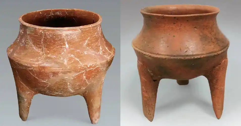 山东大汶口文化曾使用尺长176cm