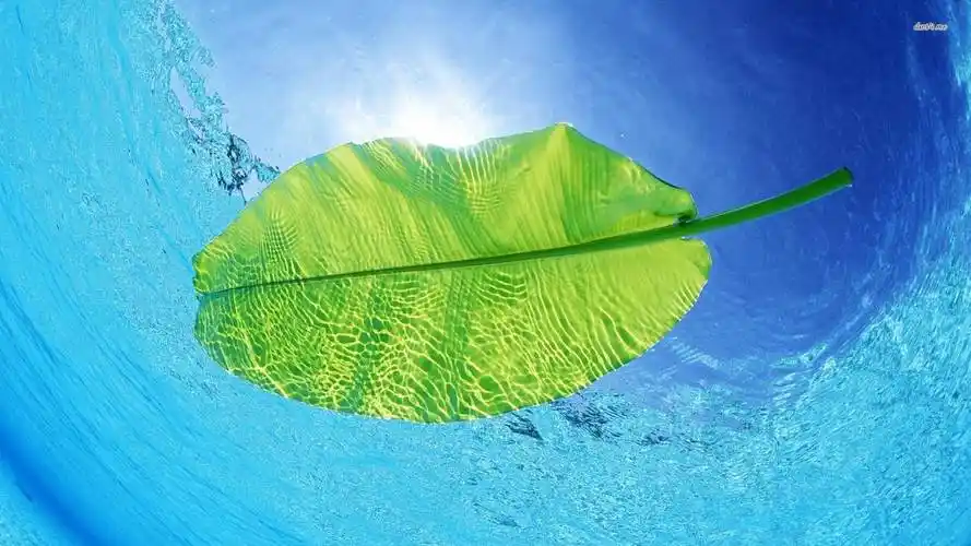 快手点赞代刷网 推广