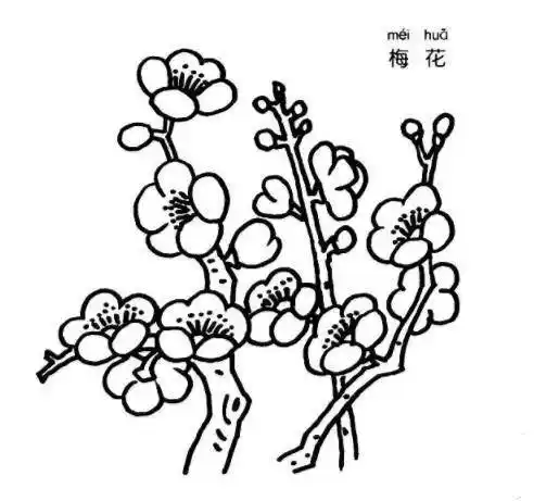 梅花树枝简笔画图片_梅花儿童绘画作品图集