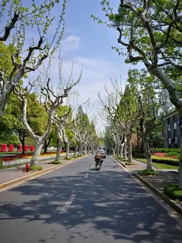 参观上海复旦大学校园 - 美篇