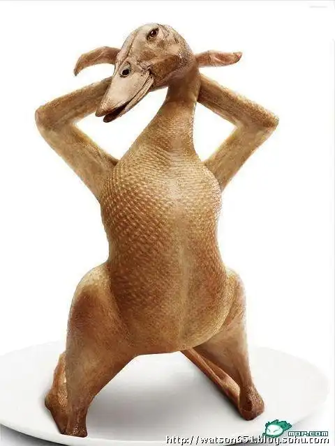 000687吧里看到的搞笑图<拔毛的鹅>,分享下