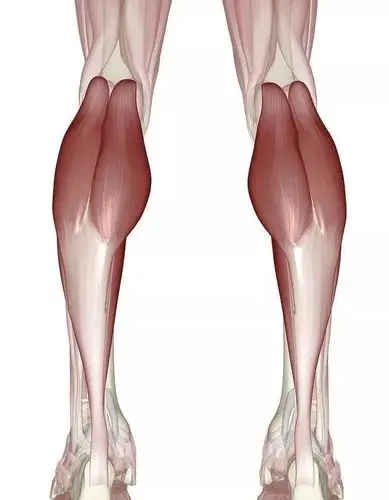 腿部,如果感到想把皮肤以及皮下组织捏起来非常困难,并且感到肌肉紧实