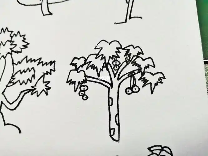 枫树简笔画枫树简笔画图片带颜色