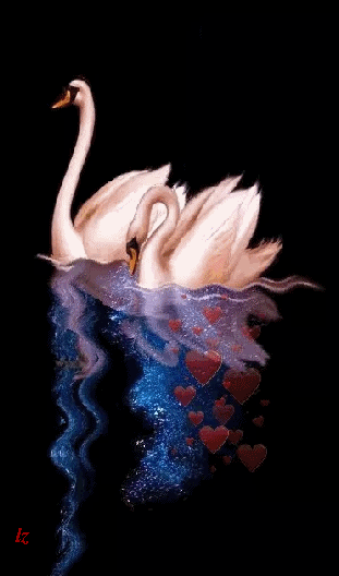 311_528竖版 竖屏gif 动态图 动图