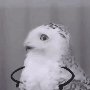 [emot=ac3,01/]好吧,我摊牌了,哪怕我现在,都做的没有你那个时候好.