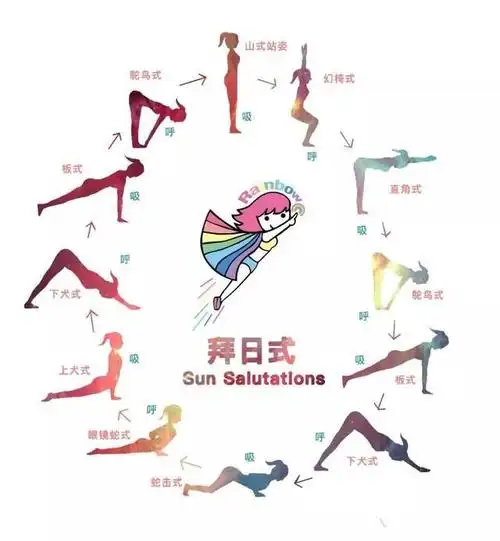 练瑜伽:传统拜日12式肌肉解剖版(值得你私藏起来反复看的版本)