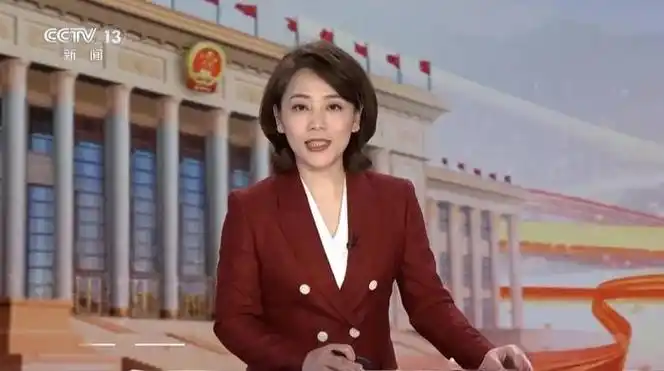 央视两会报道女主播风采劳春燕胡蝶胸有成竹王音棋后来者居上