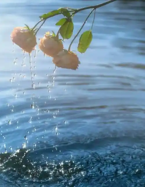 给自己一个好心情图片