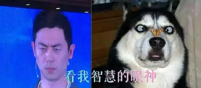 网络上就开始疯传各种朱亚文vs哈士奇的对比照,每一张都