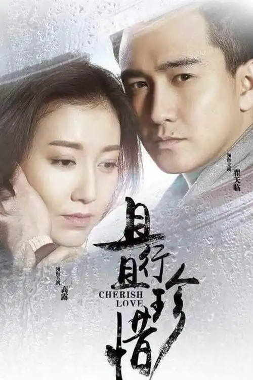 且行且珍惜剧情介绍